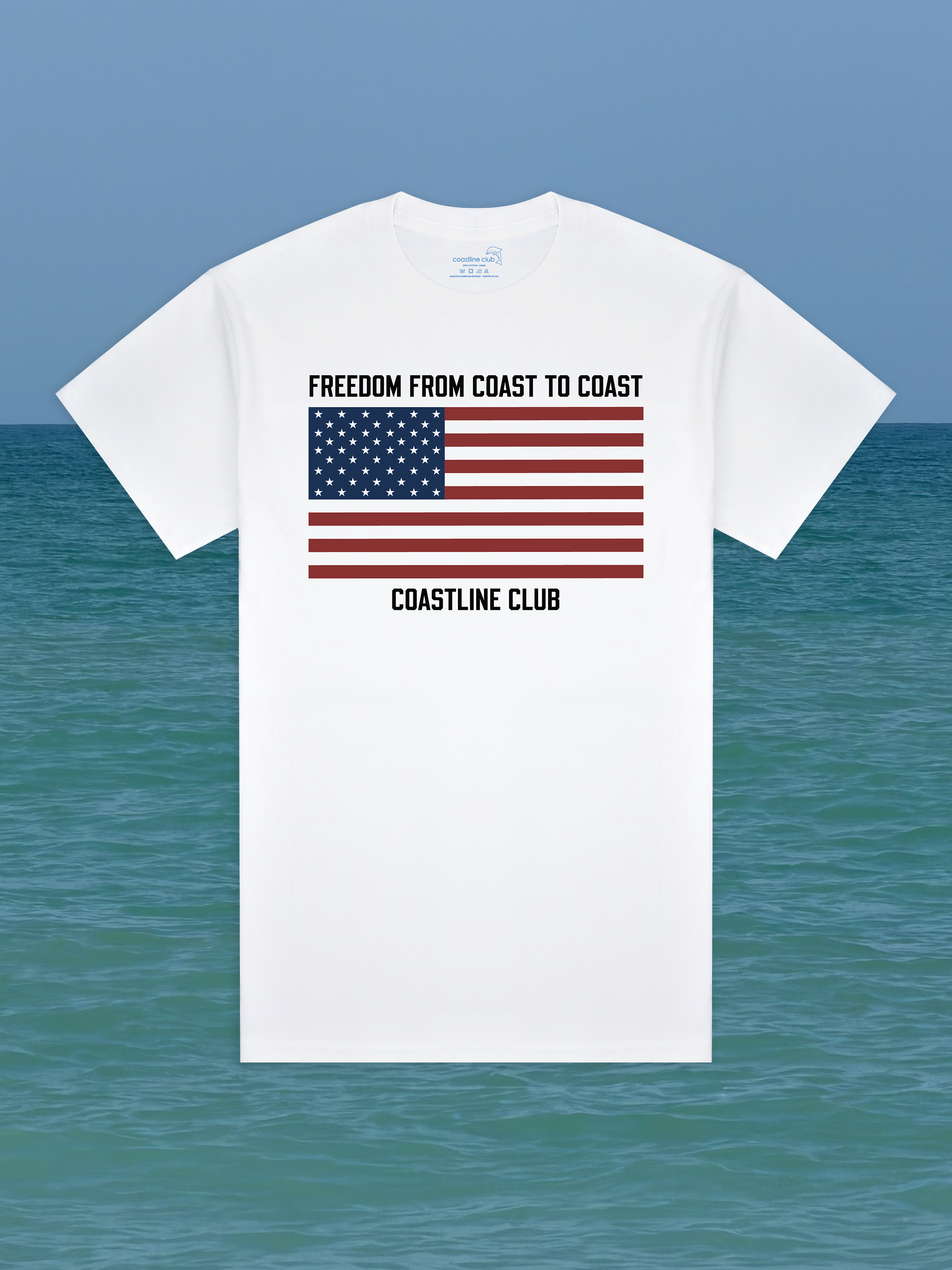 Freedom Flag Tee