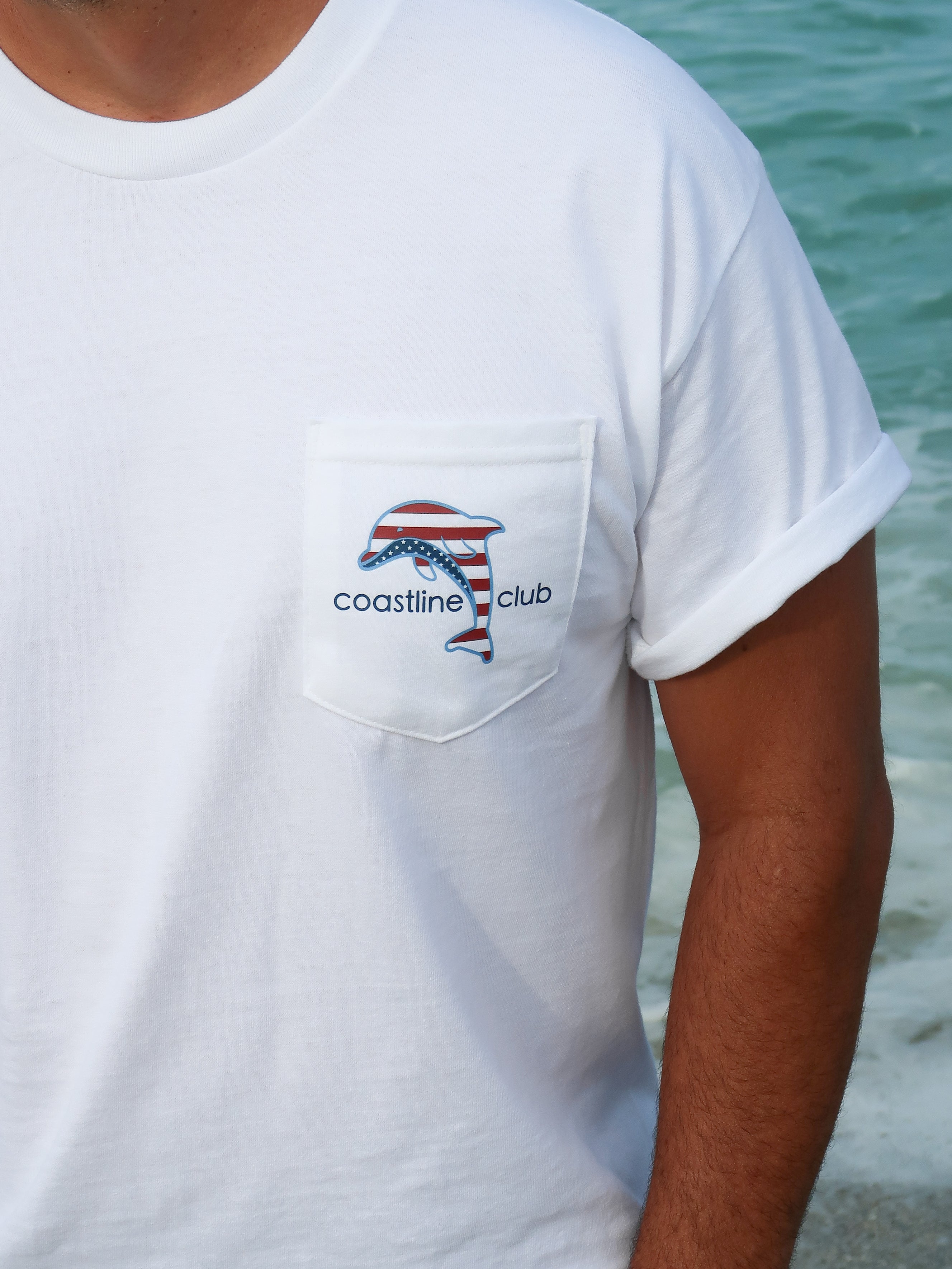 Americana Dolphin Tee
