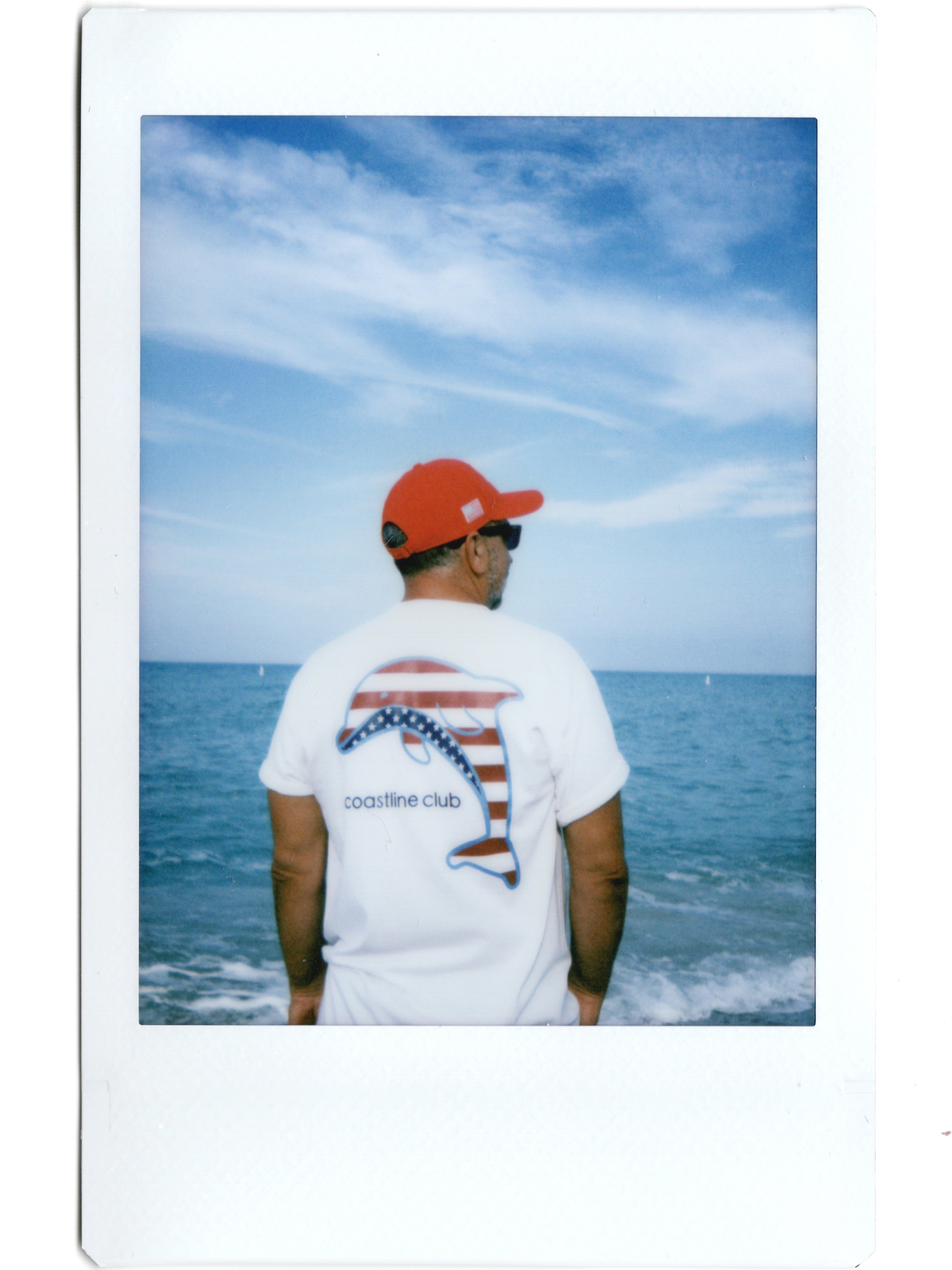 Americana Dolphin Tee